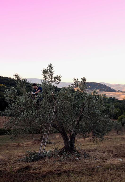 Villa Fonteintanata Miemo Bagian luar foto